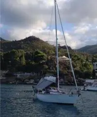 BARCA A VELA AMON 7,90