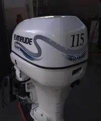 115 Evinrude Fich Ram