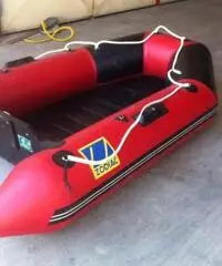 TENDER ZODIAC 260