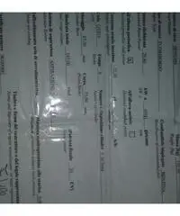 MOTORE MARINO 4 TEMPI