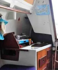 Barca vela 8 mt Mattia&Cecco Cecco8 usata