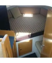 FAETON MORAGA 850