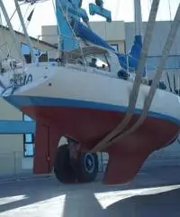 Moana 39
