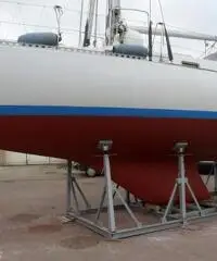 Moana 39