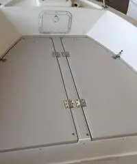 Robalo 21CC + Yamaha 200