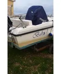 Barca a motore