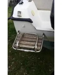 Barca a motore