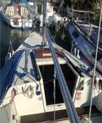 BARCA A VELA ELAN 19