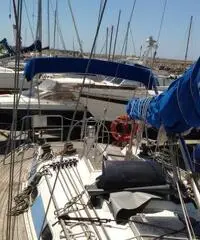 Barca a vela