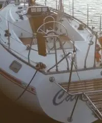 Harmony mt 9,50 natante