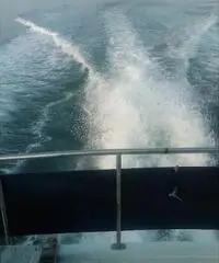 barca a motore SEA RAY BOATS sea ray 360 anno 1987 lunghezza mt 11.0 barca a motore SEA RAY BOATS sea ray 360 anno 1987 lunghezza mt 11.0