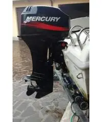 Mercury 40cv 2tempi - 2001