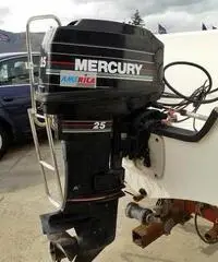 BARCA M. 4.50 Plastosud Delfino