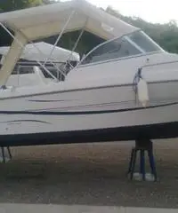 Sessa Oyster 18