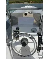 Gommone bwa 650 diving