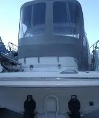 BAVARIA SPORT 31