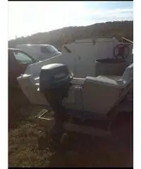 Barca a motore ( ottime condizioni)