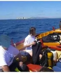 barca in legno