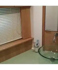 ABSOLUTE Absolute 41