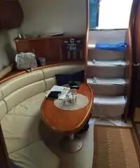 ASTONDOA AS 40 Open