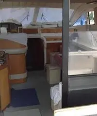 DALLA PIETà 43 Fly Asterion