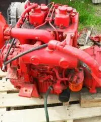 entrobordo ruggerini