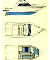 Kingfisher 1000