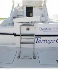 Kingfisher 1000