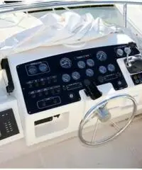 Kingfisher 1000