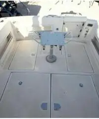 Kingfisher 1000