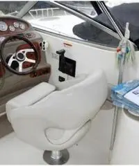 LARSON BOATS Cabrio 260