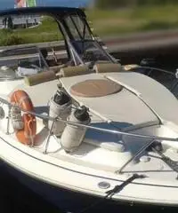 LARSON BOATS Cabrio 260
