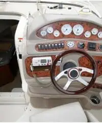 LARSON BOATS Cabrio 260