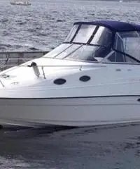 REGAL MARINE 242 Commodore