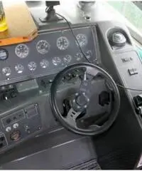 REGAL MARINE 290 COMMODORE