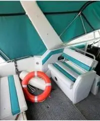 REGAL MARINE 290 COMMODORE