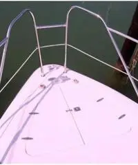 SEALINE F 33