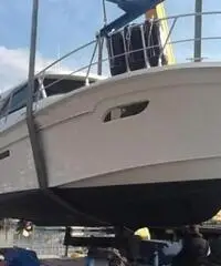 Vektor sas Adriana 36