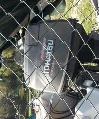 vendo pilotina cranchi con motore tohatsu 40 hp