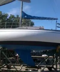 barca a vela COMAR Comet 801 anno 1979 lunghezza mt 7,68