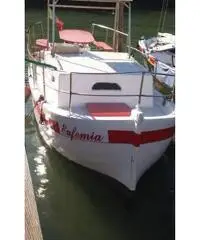 Gozzo a motore