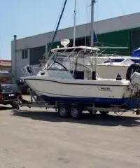 NOLEGGIO CARRELLI TRASPORTO BARCA ED EFFETTUO TRASPORTI BARCHE