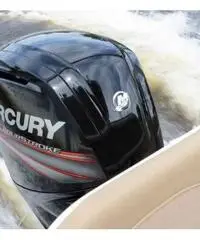 Nuovo F115 Mercury