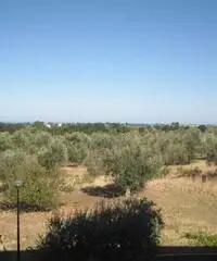 Appartamento in Affitto di 25mq