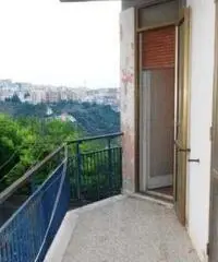 Catanzaro Vendita Appartamento