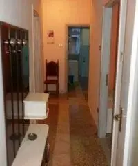 Catanzaro Vendita Appartamento