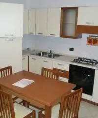 Appartamento in Affitto 55mq