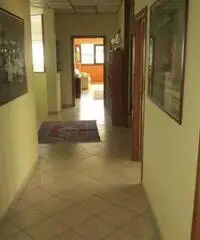 Capannone industriale Zona Ind. di Settevene Nepi (VT)