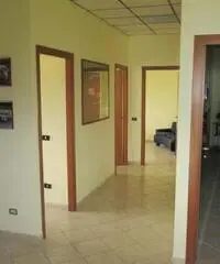 Capannone industriale Zona Ind. di Settevene Nepi (VT)