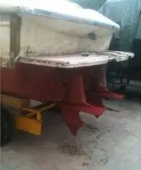 Tullio abbate natante entro 12 miglia